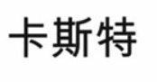 卡斯特争议商标.png